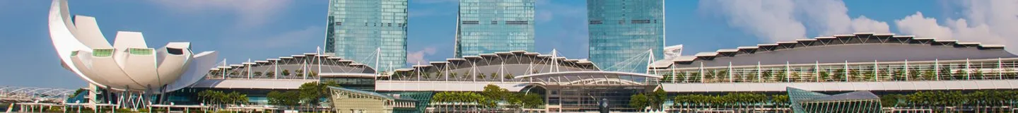 Singapore Duck Tour